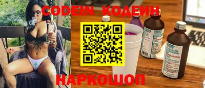 мдпв Кингисепп