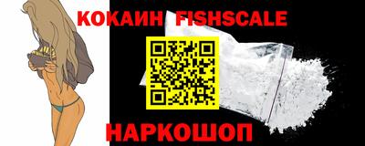 мдпв Кингисепп