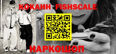 мдпв Кингисепп