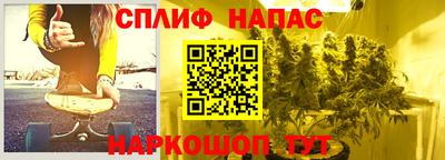 мдпв Кингисепп