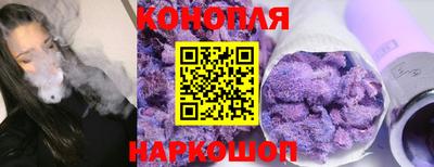 мдпв Кингисепп