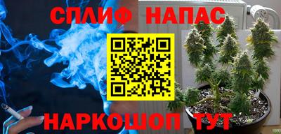 мдпв Кингисепп
