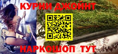 мдпв Кингисепп