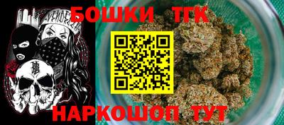 мдпв Кингисепп