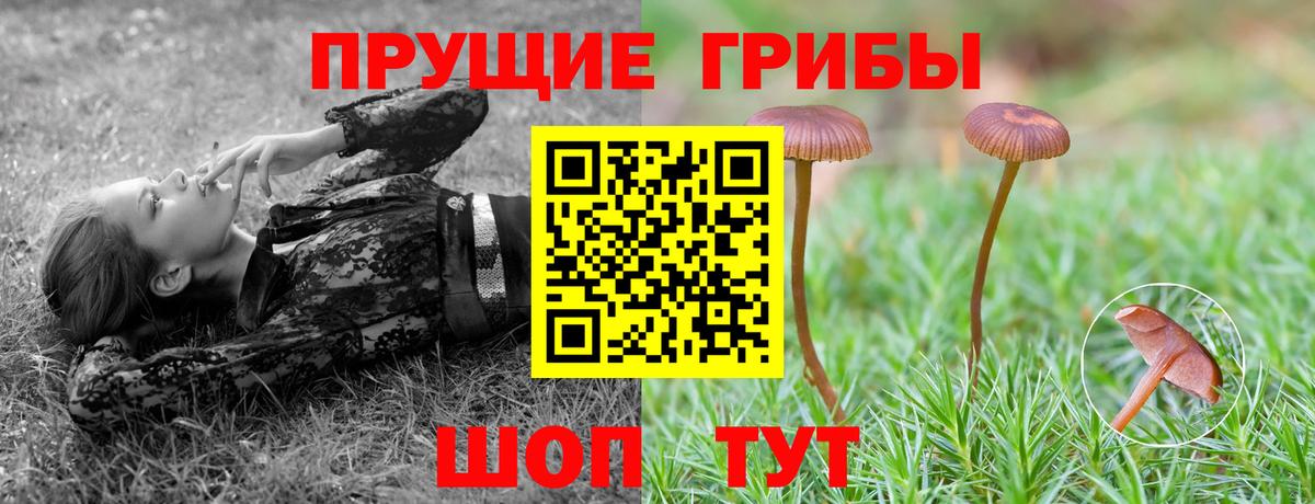 Югорск  даркнет сайт  Вход с VPN  Галлюциногенные грибы Cubensis 